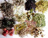 فرهنگ لغت داروهای گیاهی