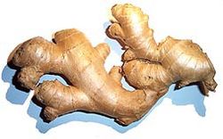 zanjebil
