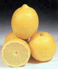 limoo-shirin
