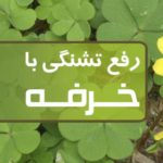 رفع تشنگی شدید با گیاه خرفه در ماه رمضان