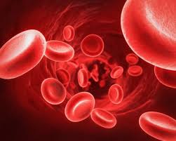 زيادة نسبة تركيز الدم