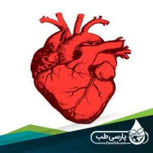 آمار بیماری های قلبی عروقی در ایران