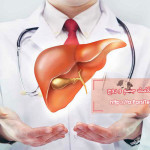 Liver-Doctor