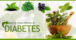 بهترین گیاهان دارویی برای مبتلایان به دیابت