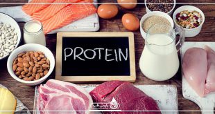 برای حفظ سلامت بدن چقدر پروتئین بطور روزانه نیاز داریم؟