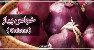 خواص پیاز ( Onions )