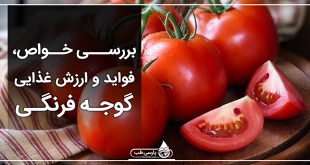 بررسی خواص، فواید و ارزش غذایی گوجه فرنگی