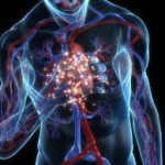 بیماری‌های قلبی : دامنه و اثر