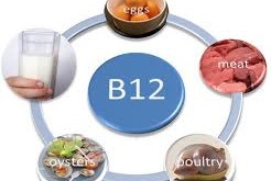 از ویتامین B12 چه می دانید؟