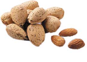 بادام تلخ