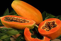 خربزه درختی (پایایا)