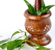 کاهش دردهای قاعدگی با گیاهان  (Herbal Therapy)