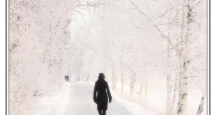 افسردگي در پاييز و زمستان