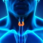 thyroid-diet-300x210