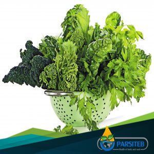 المواد الغذائية المفيدة لنشاط الدماغ-الخضروات ذات أوراق خضراء