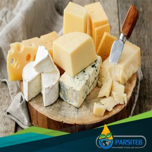 المواد الغذائية التي تسبب ارتفاع ضغط الدم-الجبنة 