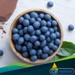 التوت الأزرق من المواد الغذائية المضادة للشيخوخة